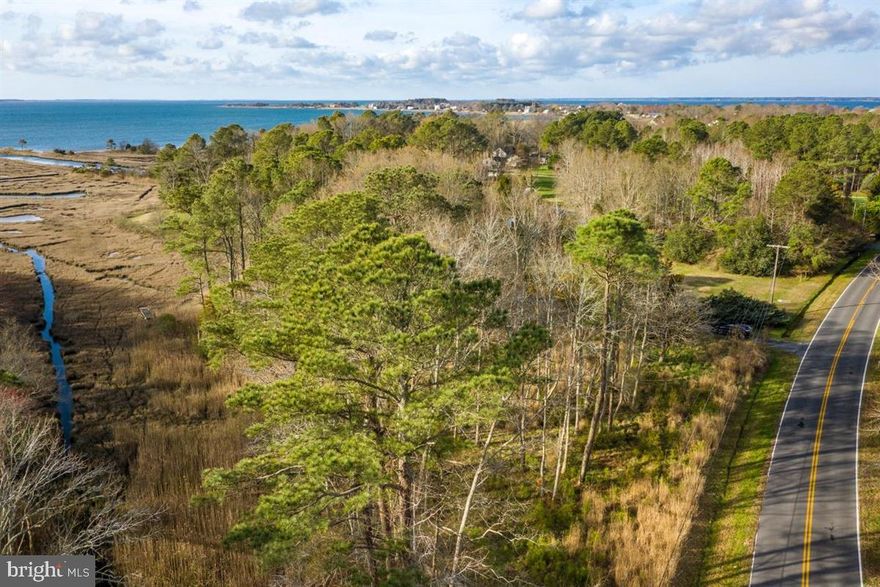 What a great spot to build your dream home! Lovely setting to enjoy wildlife and all of the privacy South Point has to offer. About 5.5 acres of land with peaceful wetlands and water views.  Close to Assateague Island and Ocean City!