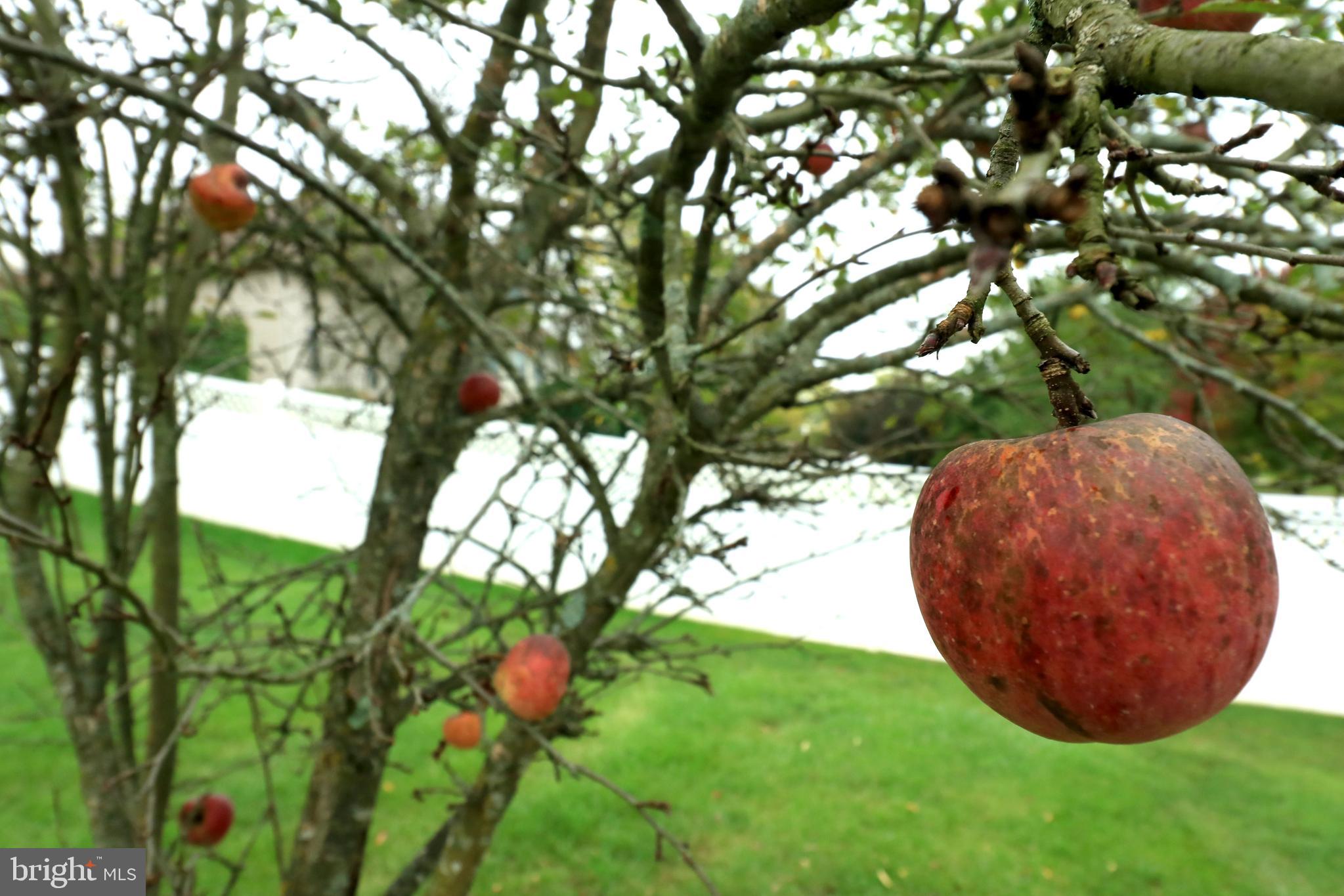 CLOVER HIGHLANDS - Residential