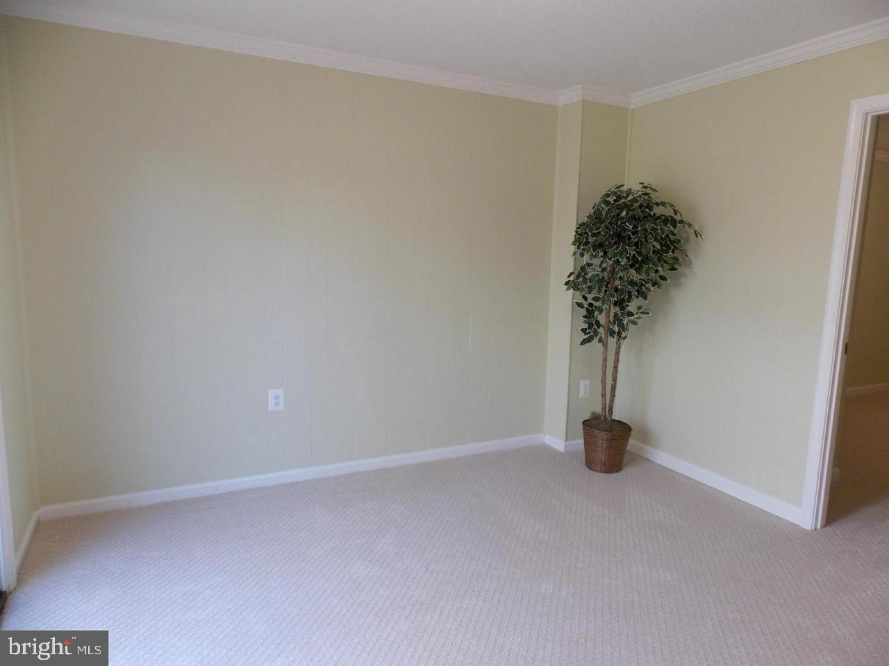 LONDON TOWNE - Residential Lease