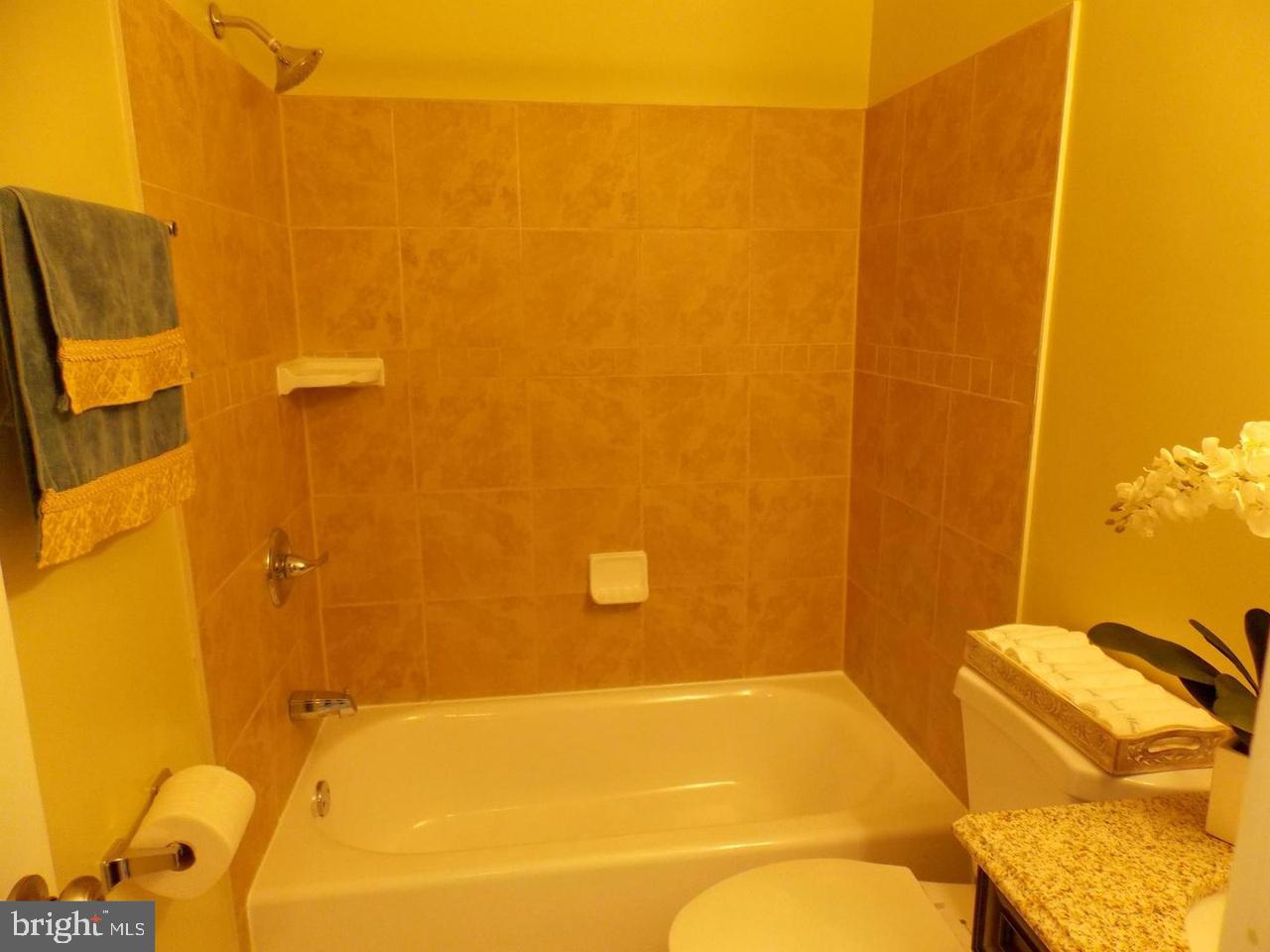 LONDON TOWNE - Residential Lease