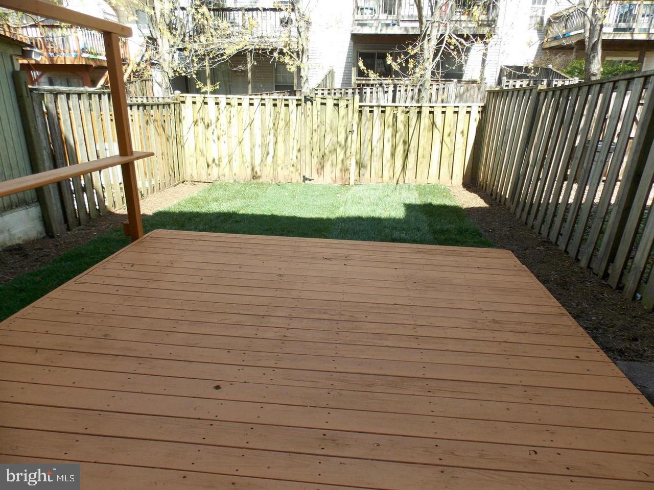 LONDON TOWNE - Residential Lease