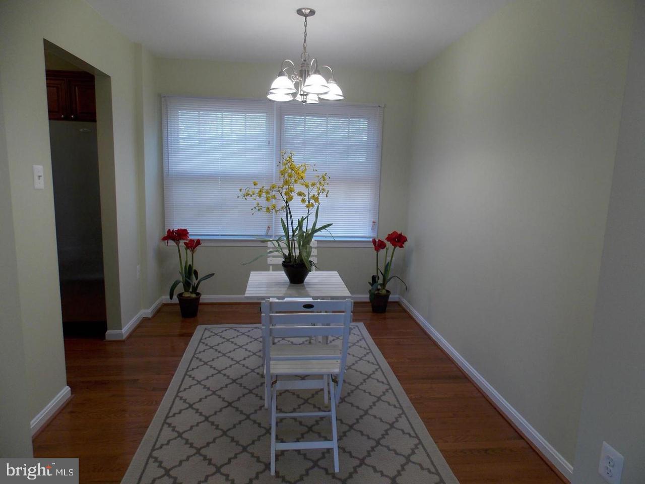 LONDON TOWNE - Residential Lease