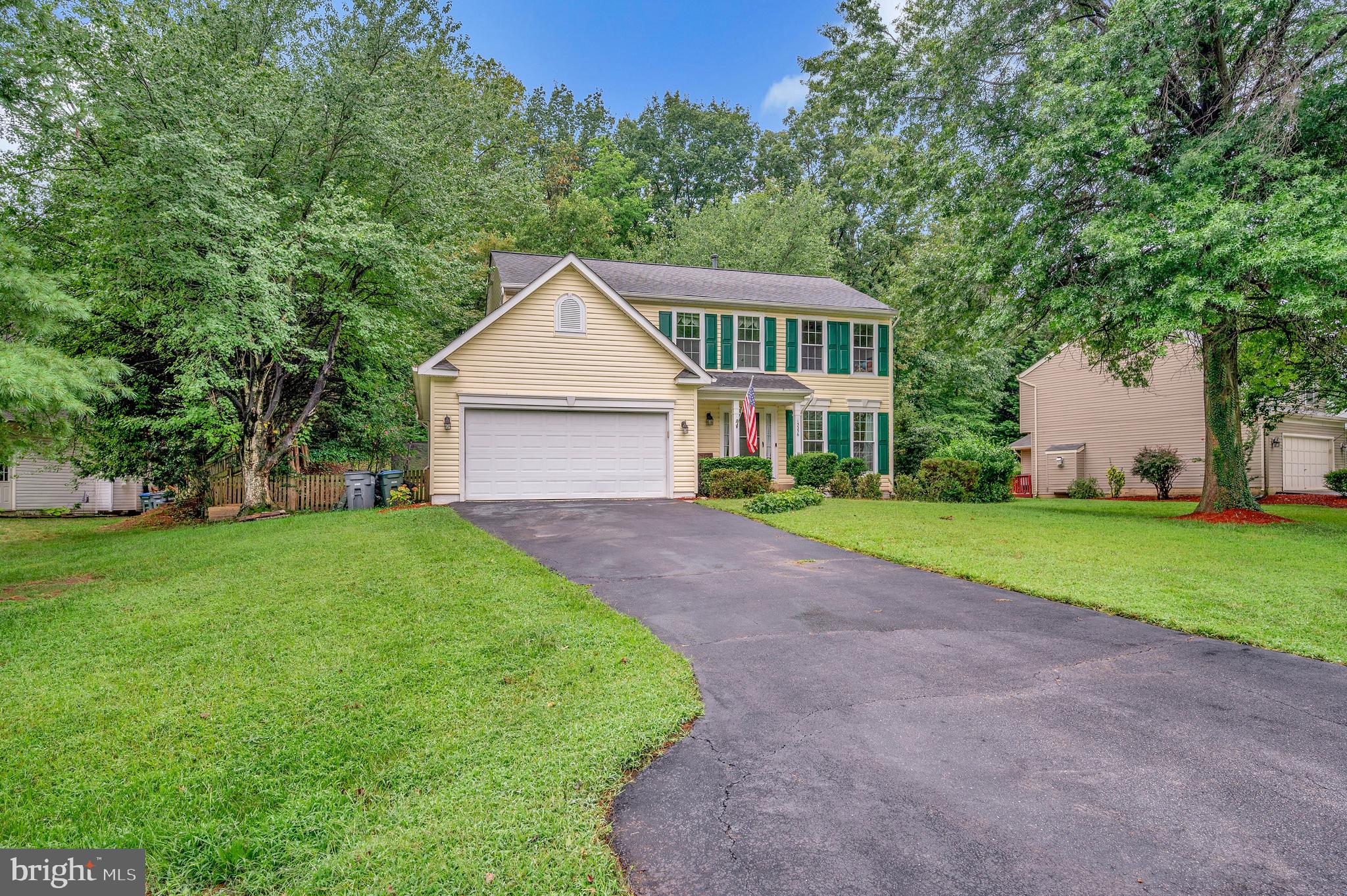 15356 BALD EAGLE LANE