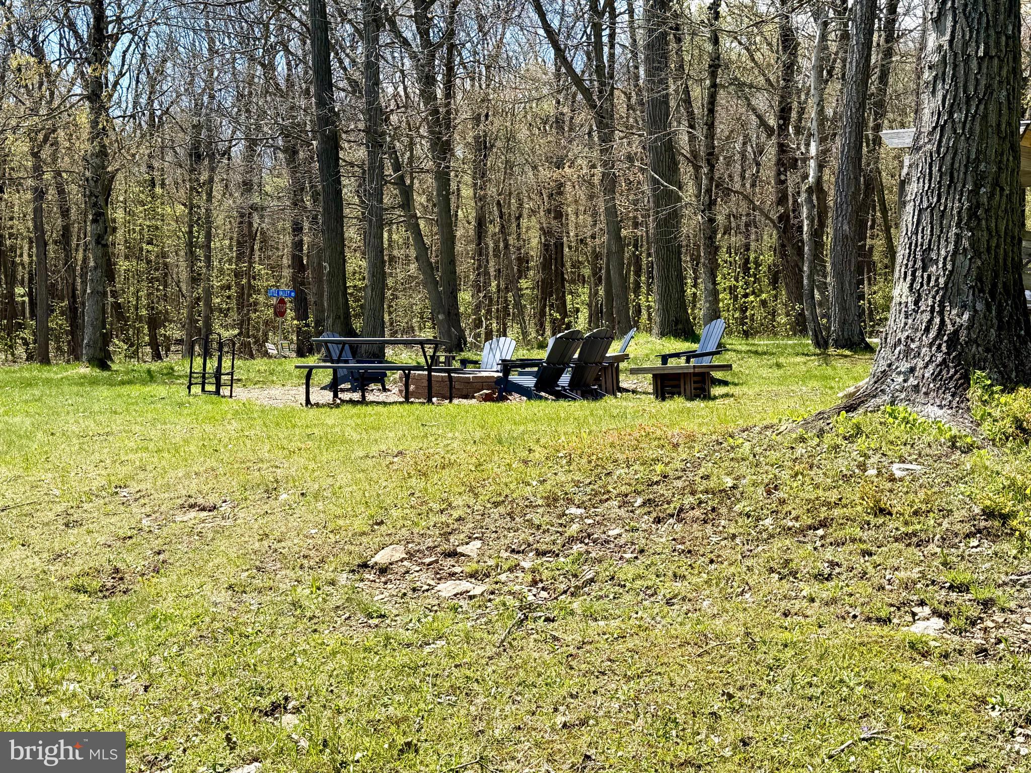 BLUE KNOB ALL SEASONS RESORT - Residential