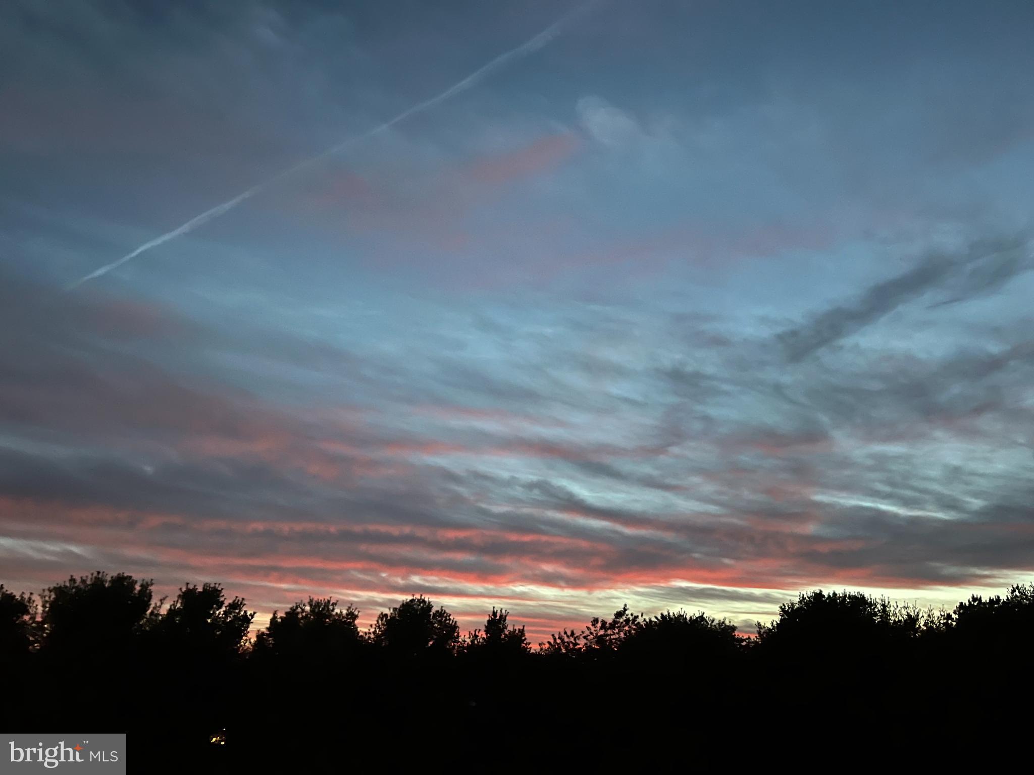 SUMMERLYN - Residential