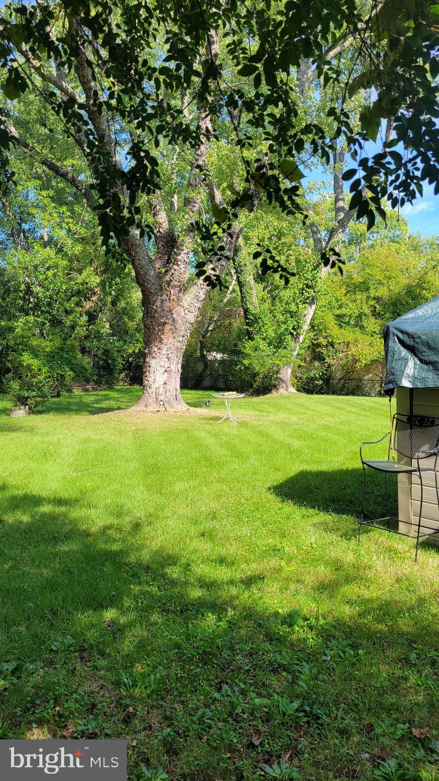 CHRIS MAR MANOR - Residential