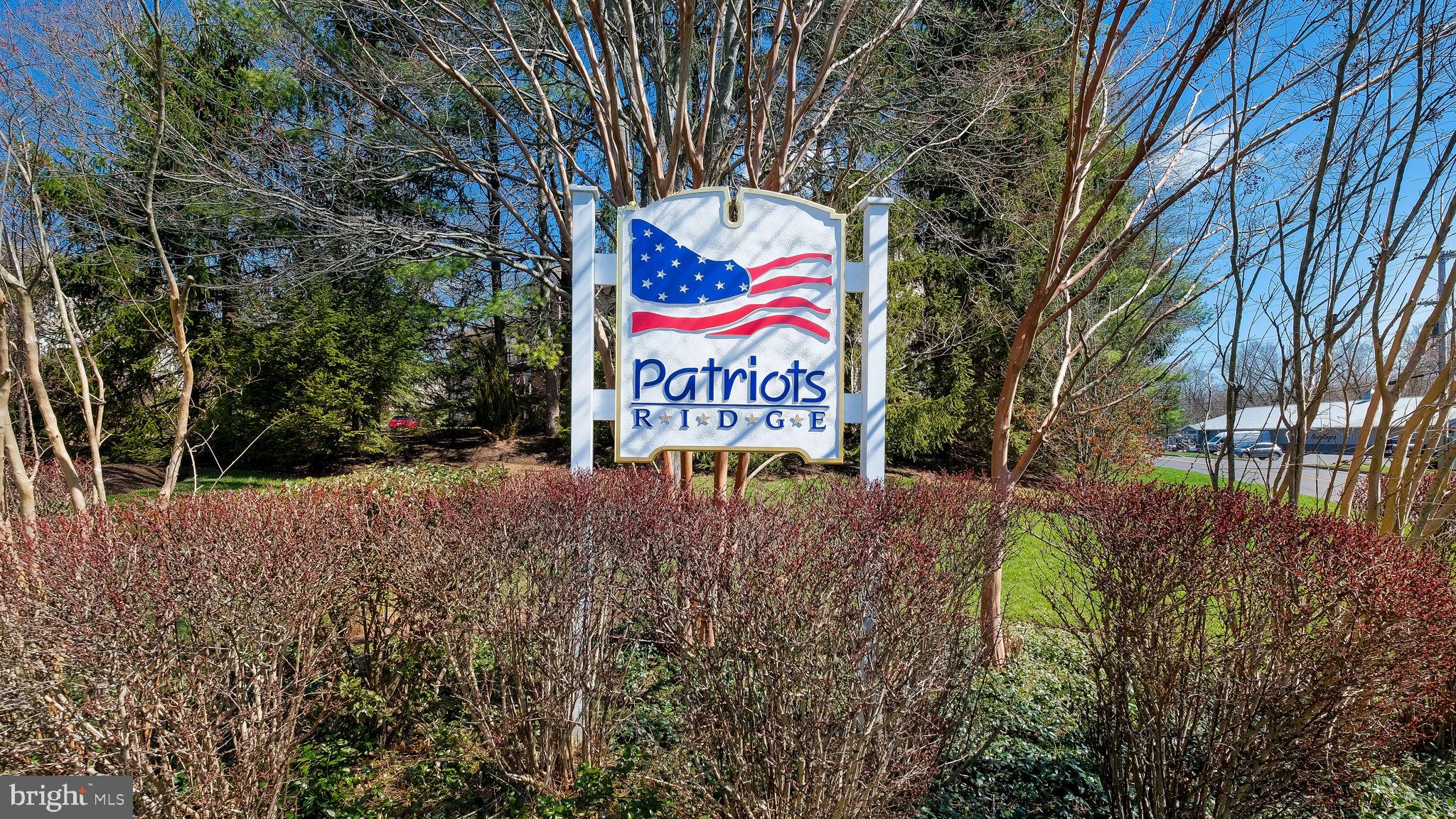 PATRIOTS RIDGE - Residential