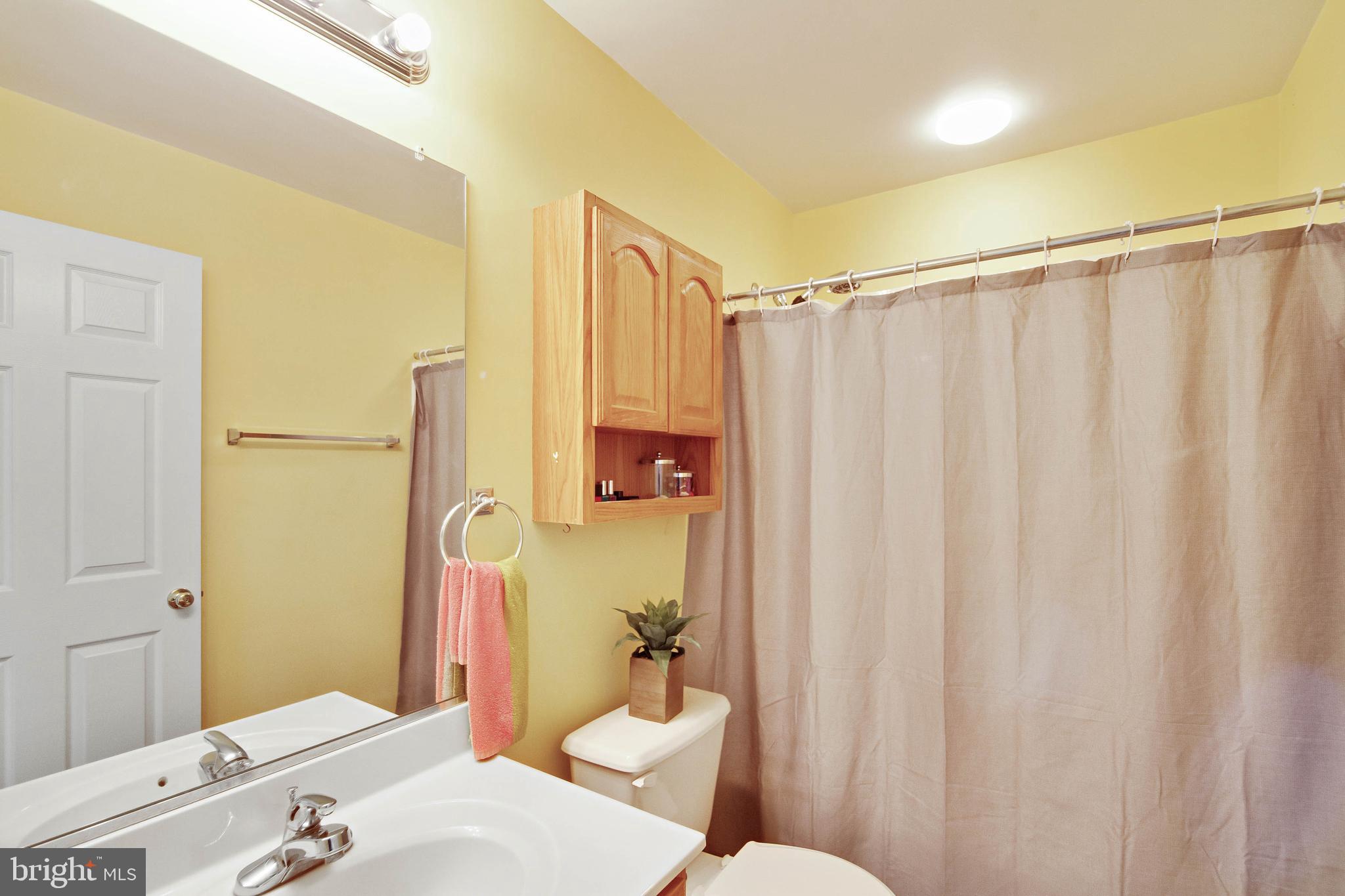 BELMONT FOREST - Residential