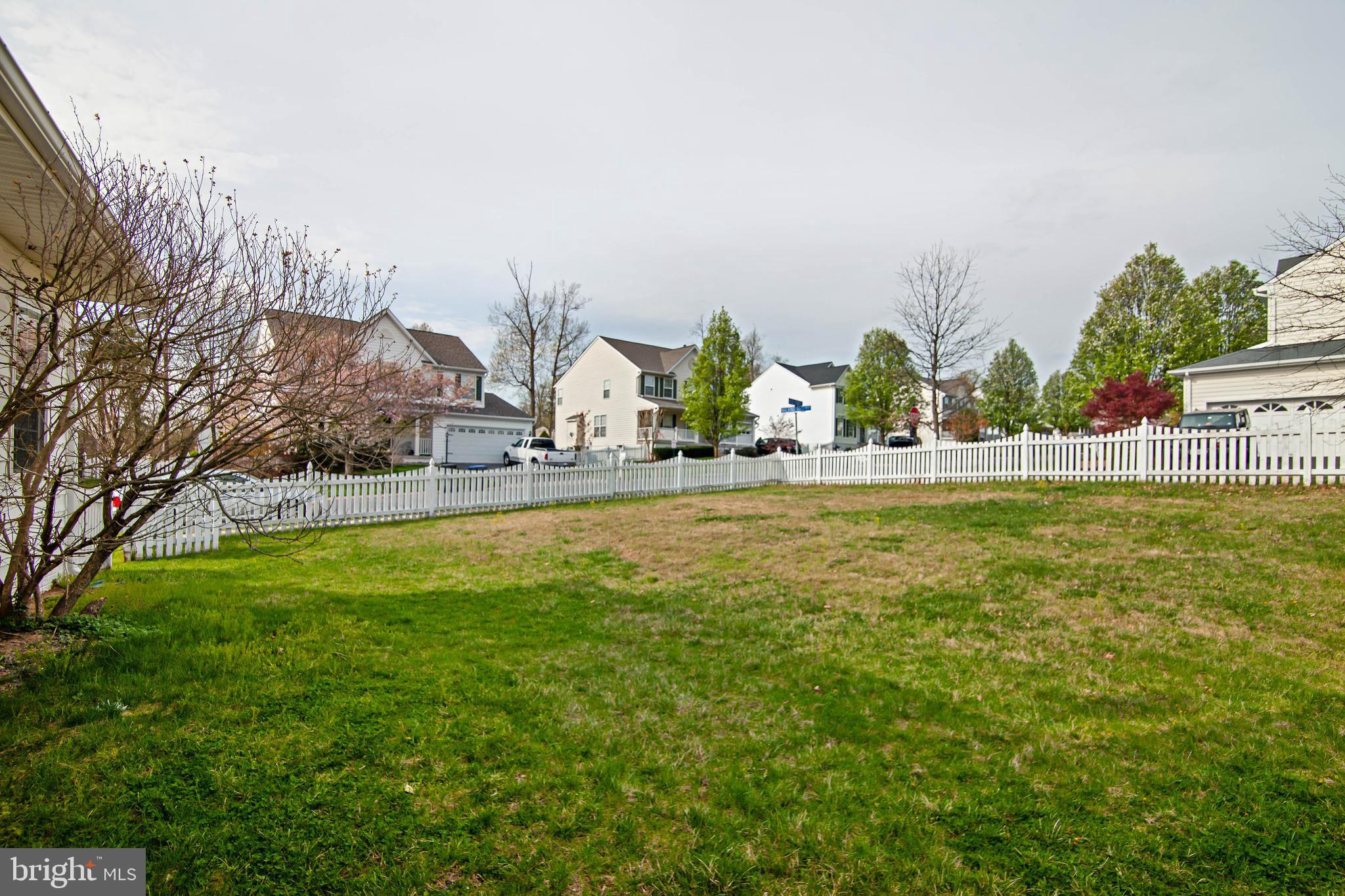 BELMONT FOREST - Residential