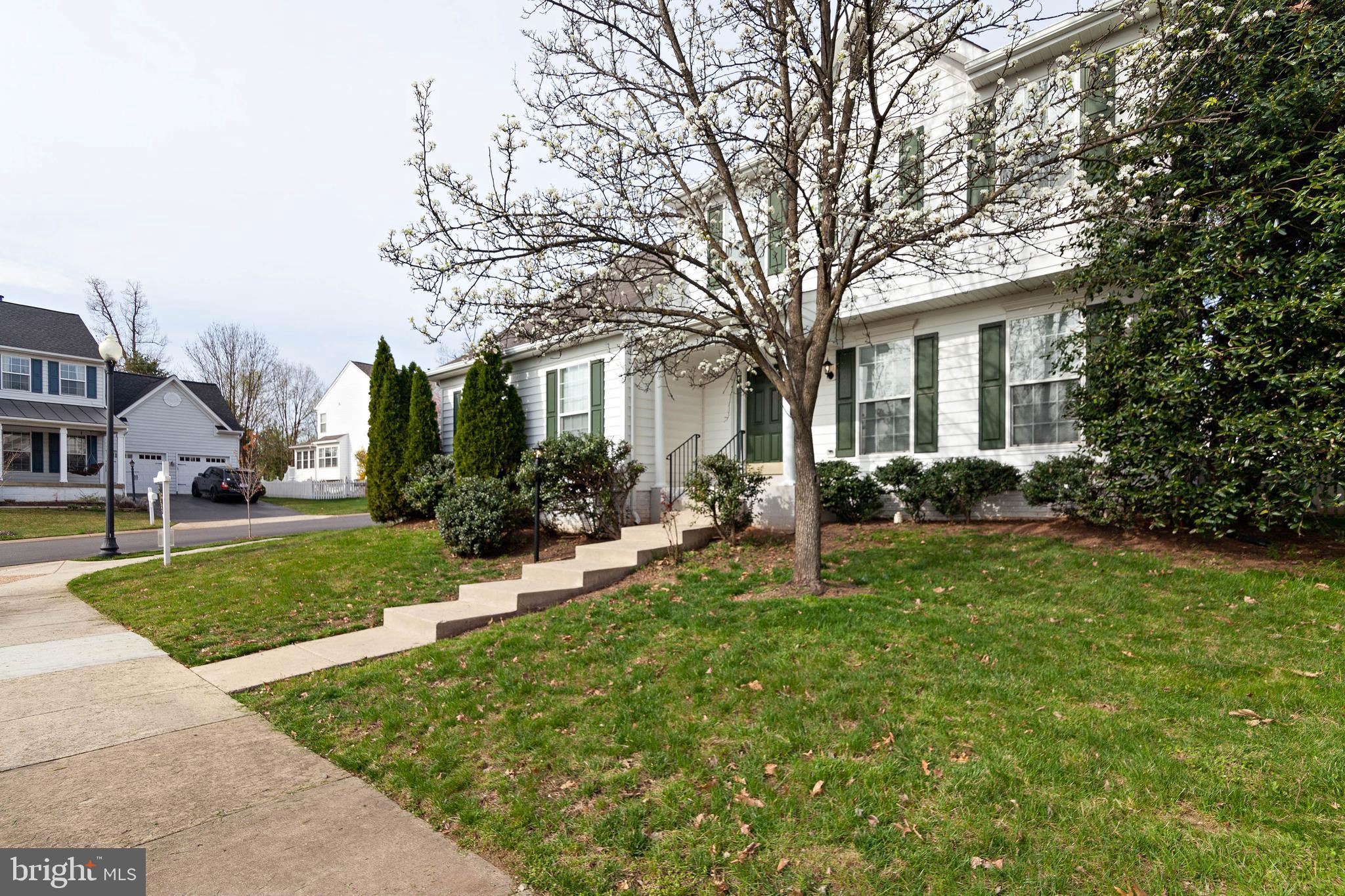 BELMONT FOREST - Residential