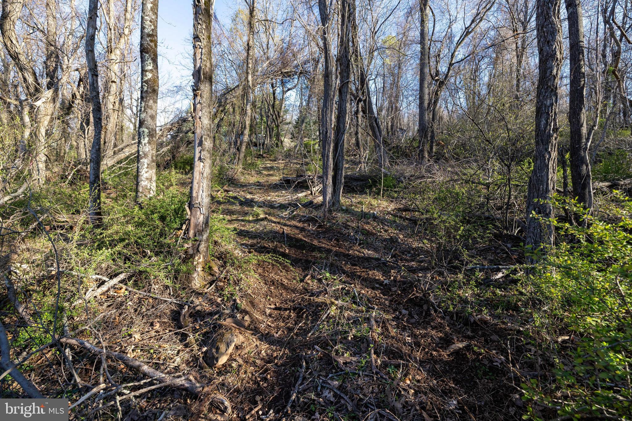 SKYLINE LAKES - Land