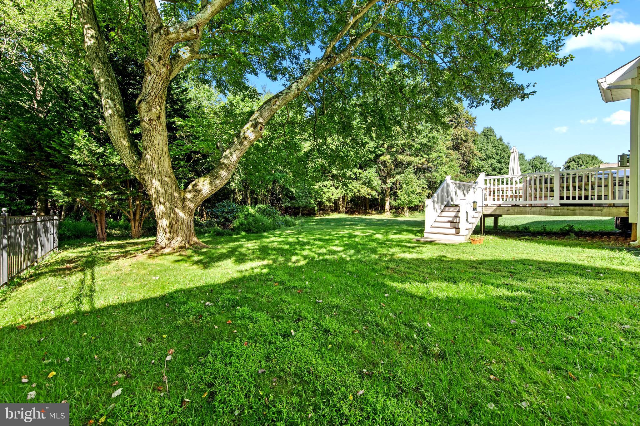 DEER SPRING - Residential