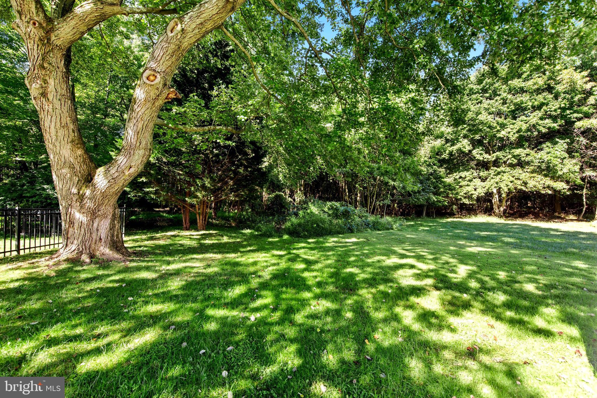 DEER SPRING - Residential