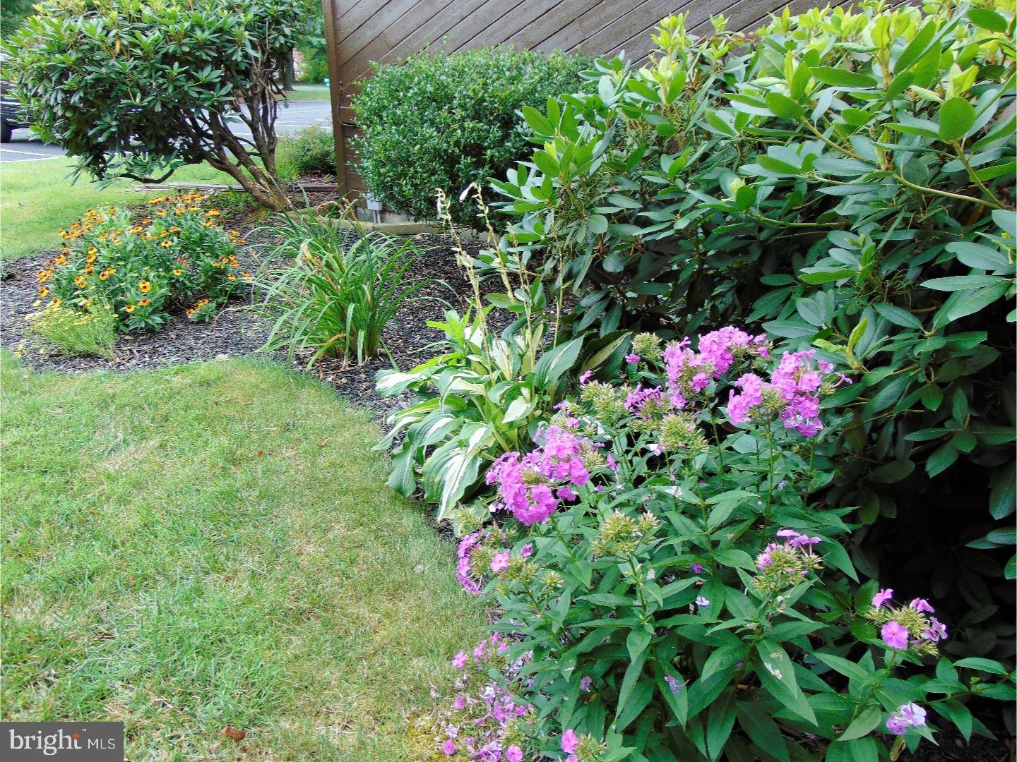 PINE BROOK - Residential