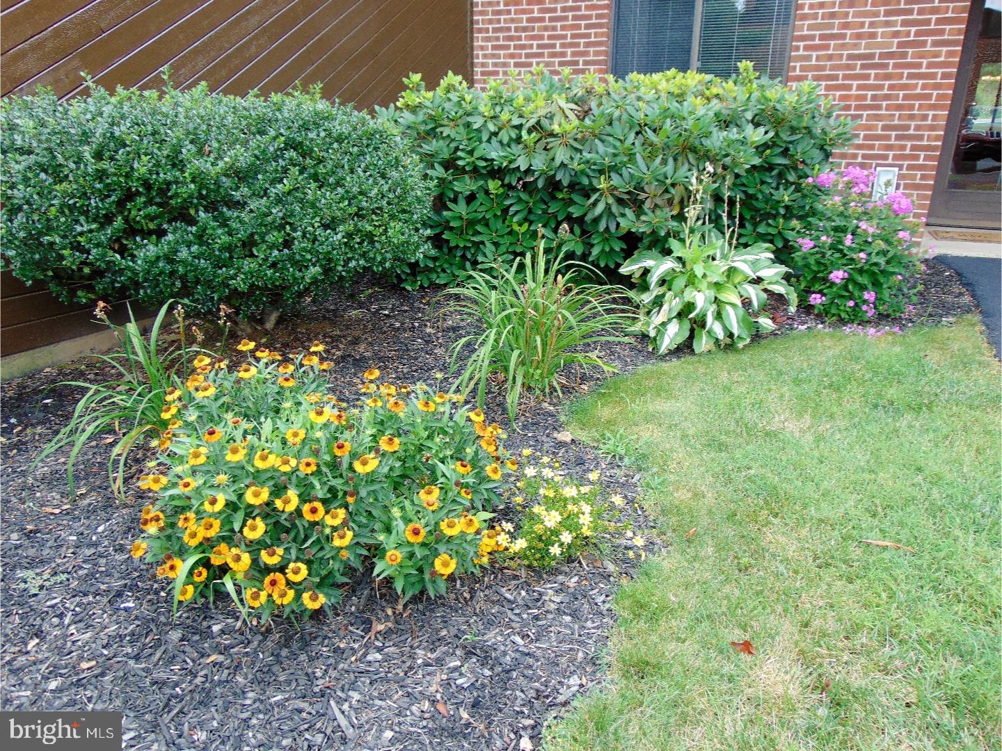 PINE BROOK - Residential