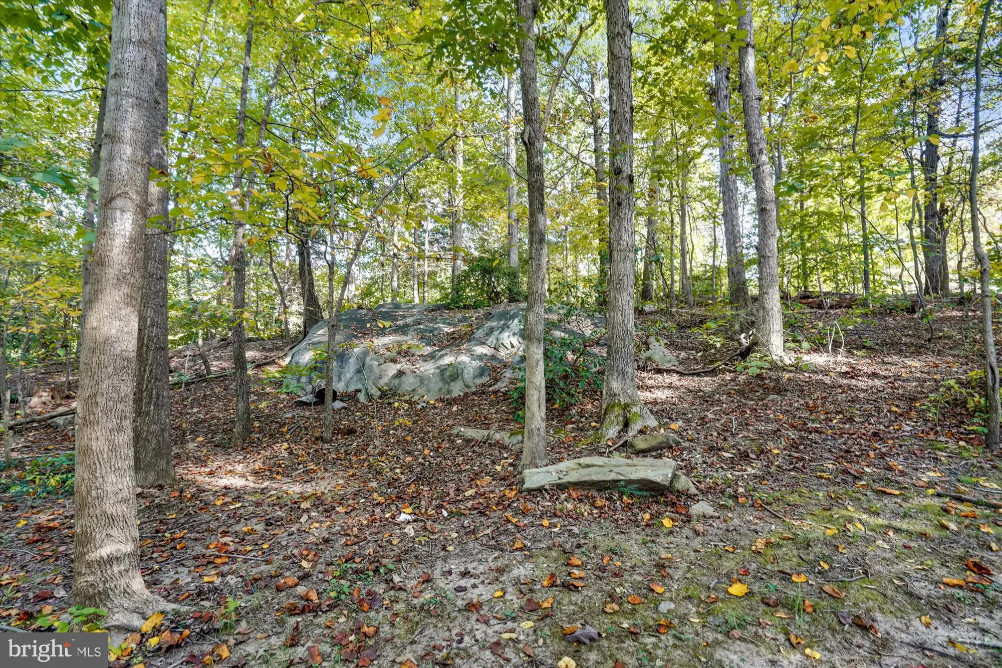 Springfield, Virginia 22152, United States, 4 Bedrooms Bedrooms, ,4 BathroomsBathrooms,Residential,Pending,151635