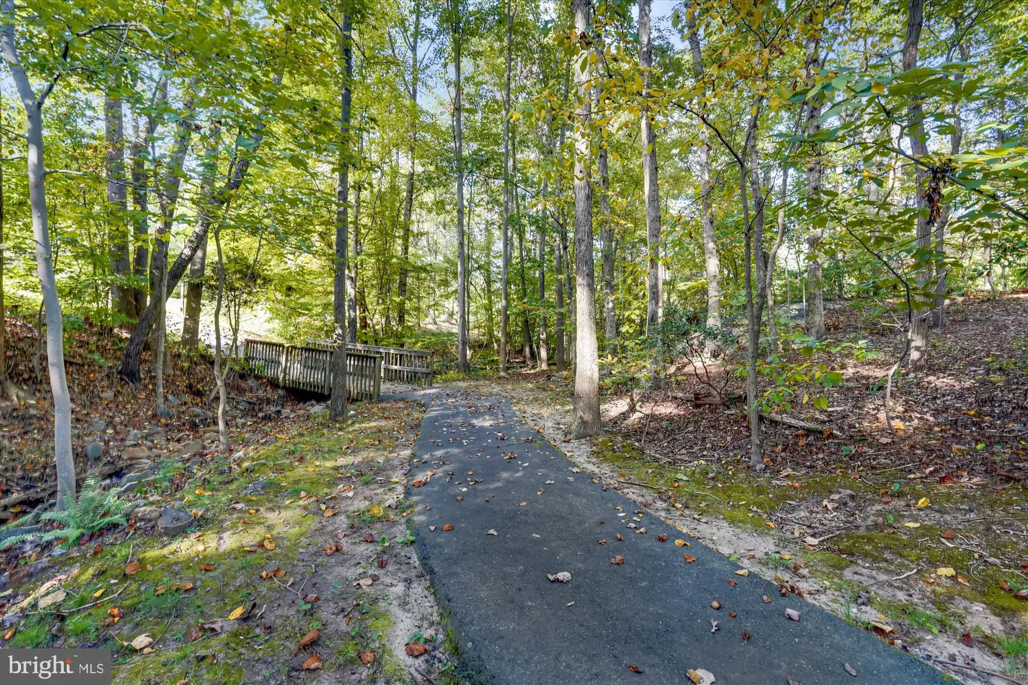 Springfield, Virginia 22152, United States, 4 Bedrooms Bedrooms, ,4 BathroomsBathrooms,Residential,Pending,151635