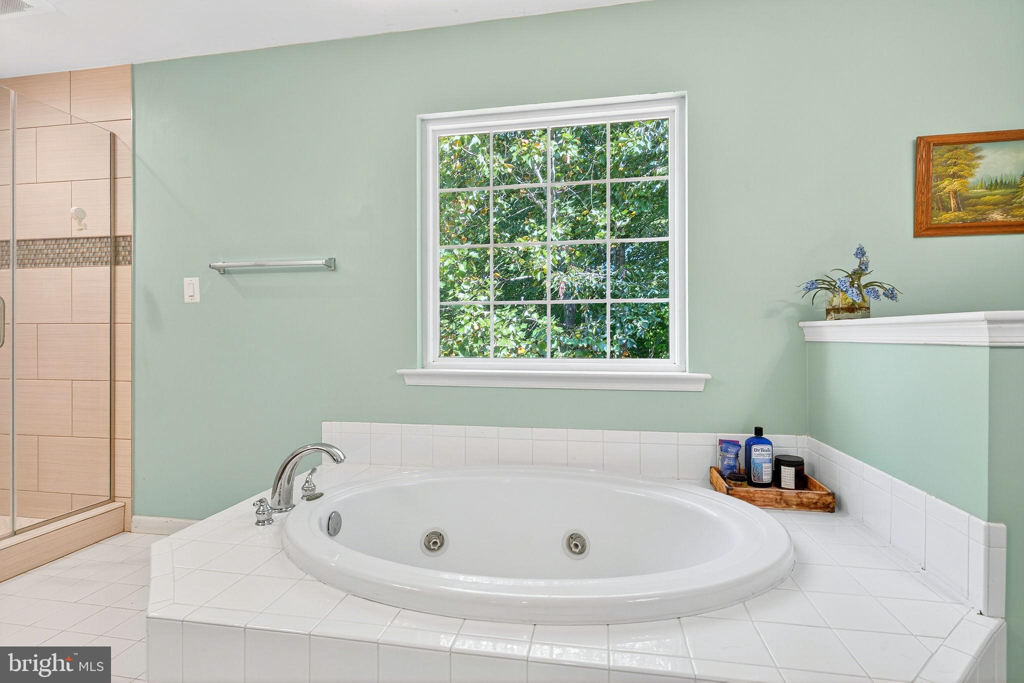 MILLS POND - Residential