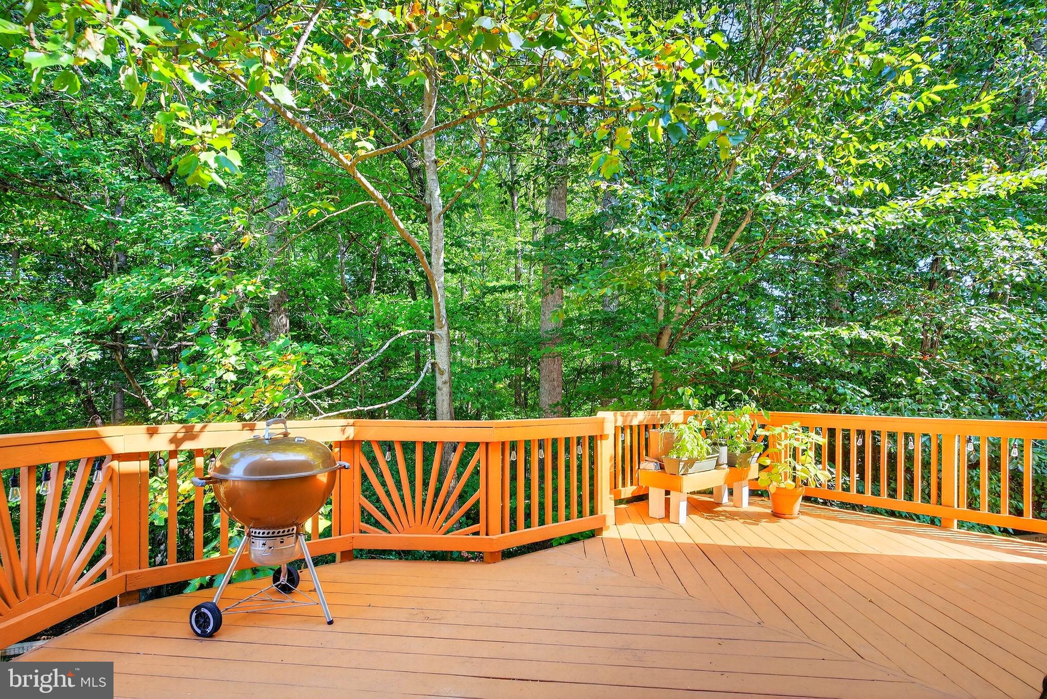 MILLS POND - Residential