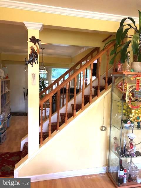 FAIRFAX HERITAGE - Residential