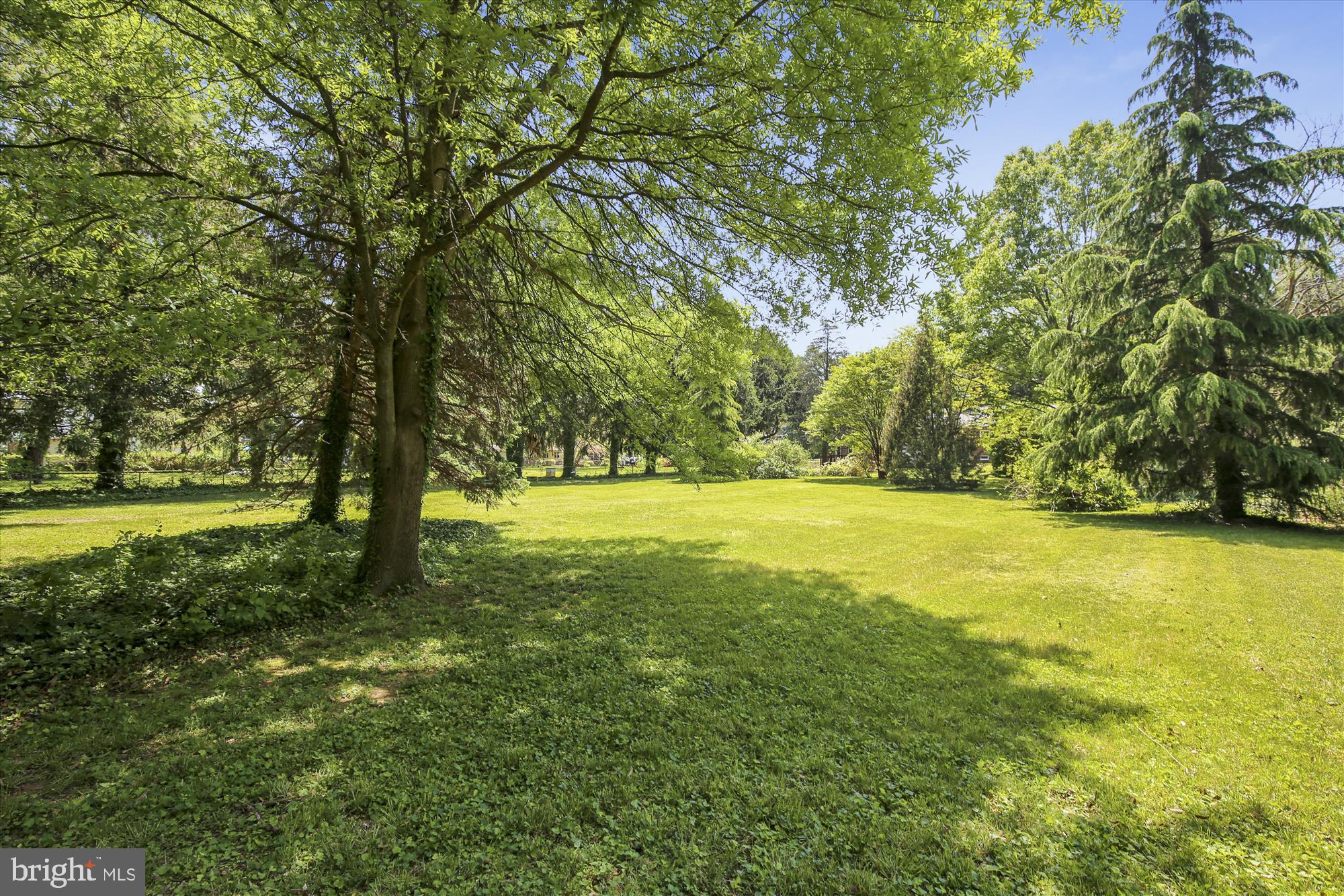 MT ZEPHYR - Residential Lease