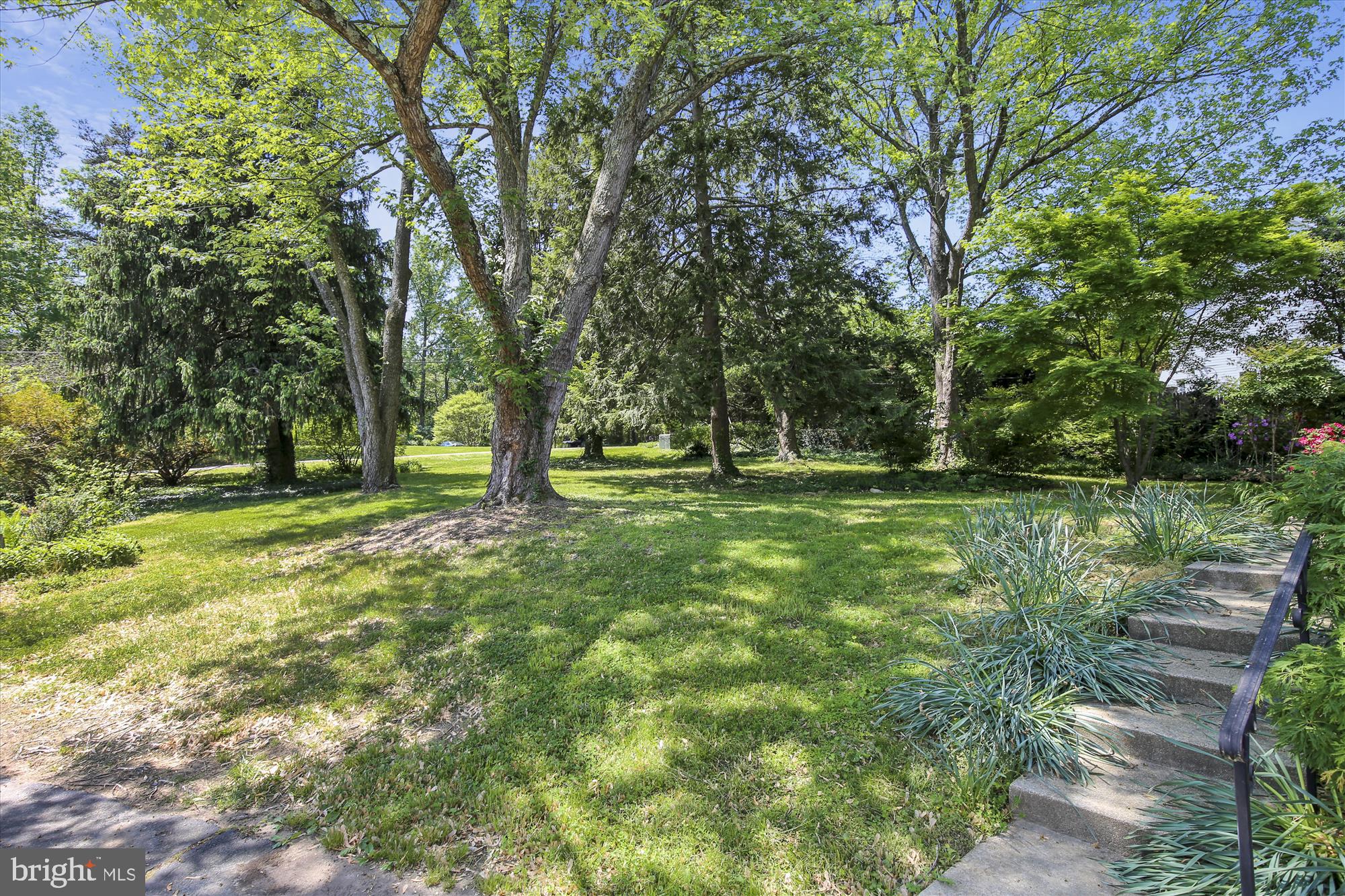 MT ZEPHYR - Residential Lease