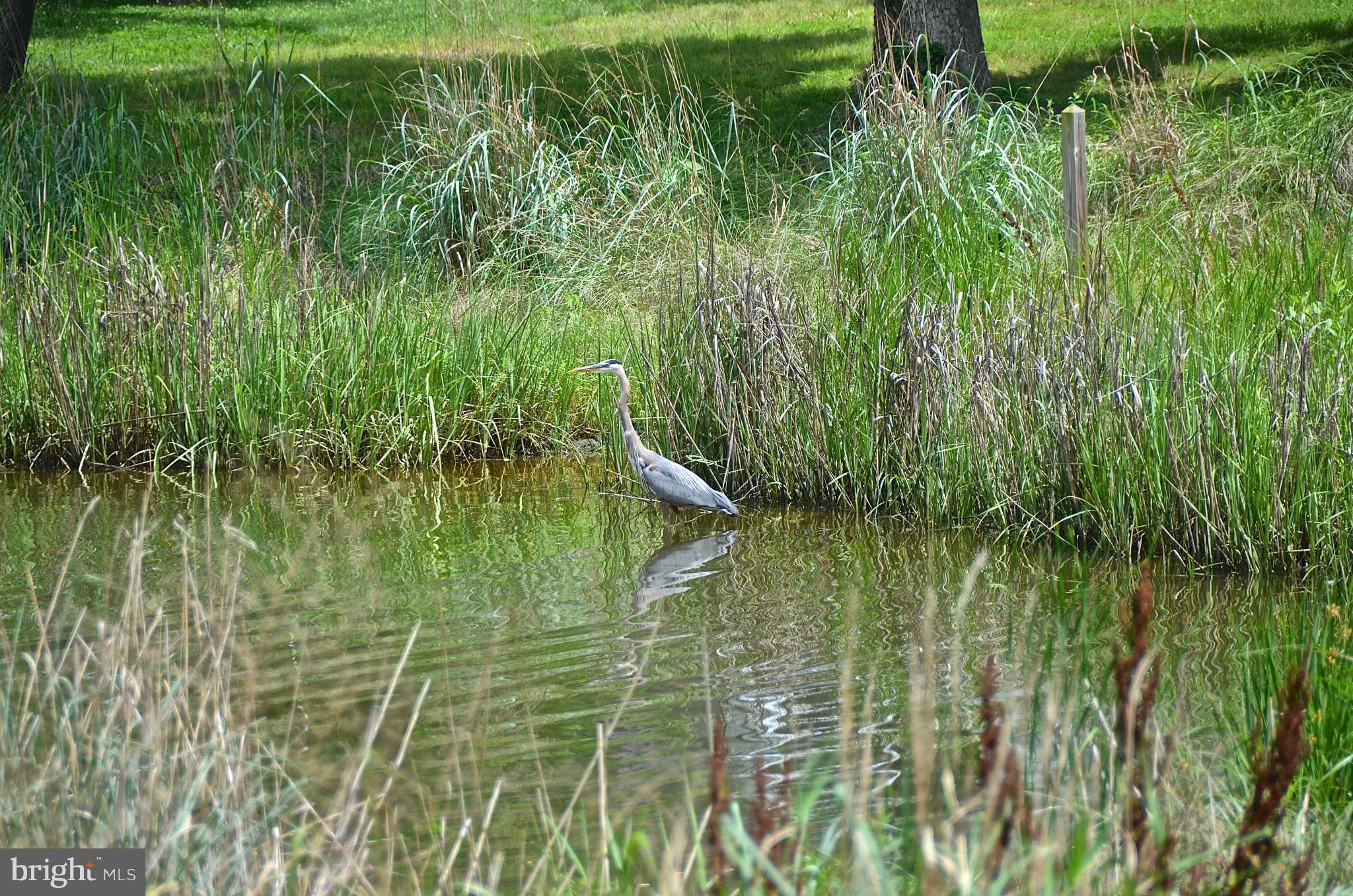 WOODLAND BEACH - Residential