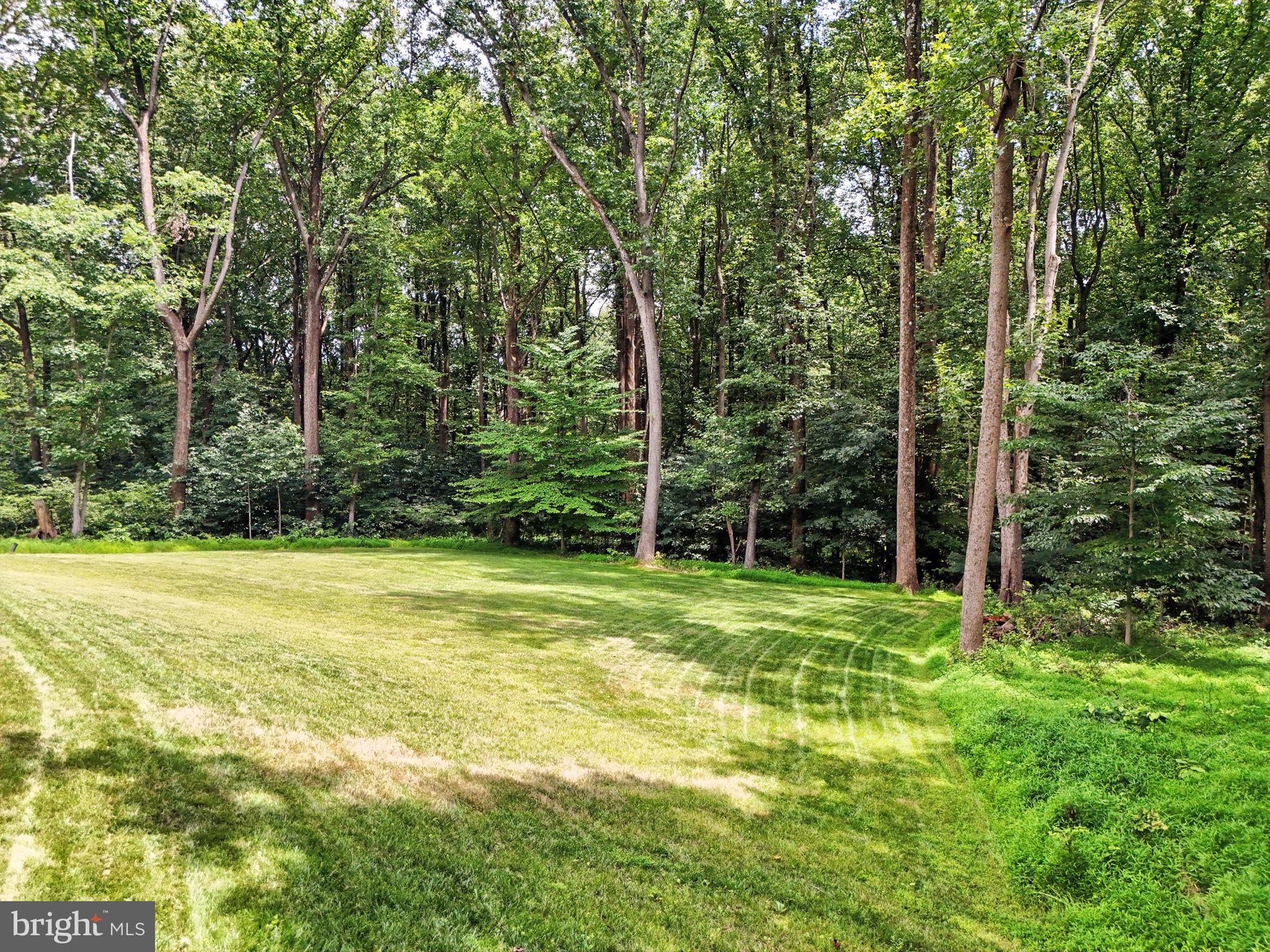 CATOCTIN SPRINGS - Residential