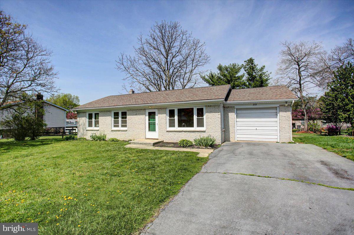 203 UNIVERSITY DRIVE