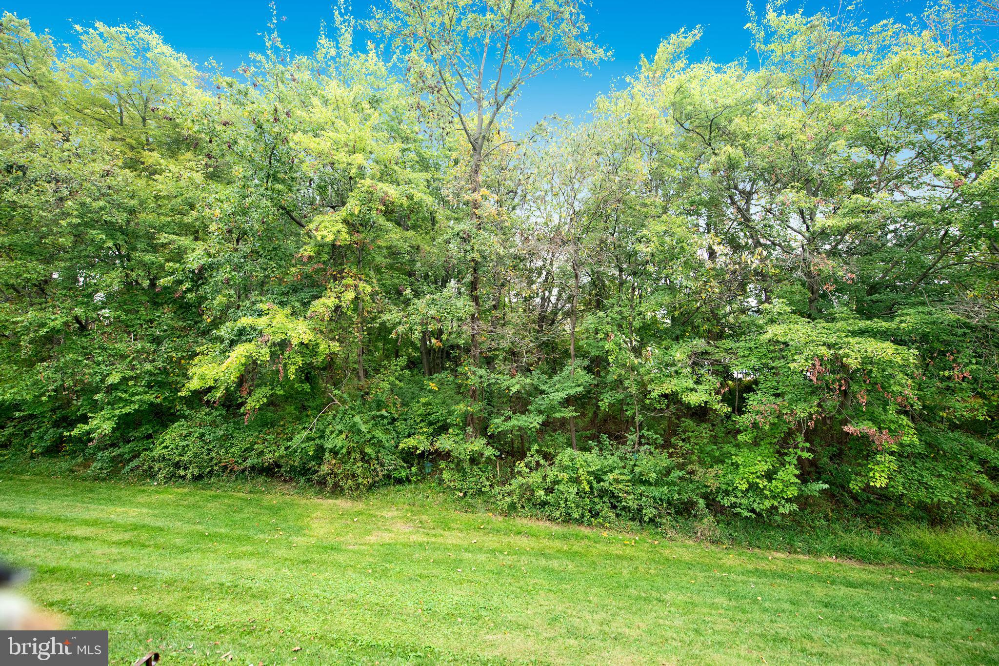 CHAPEL VILLAGE - Residential