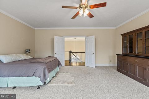 listing image 50