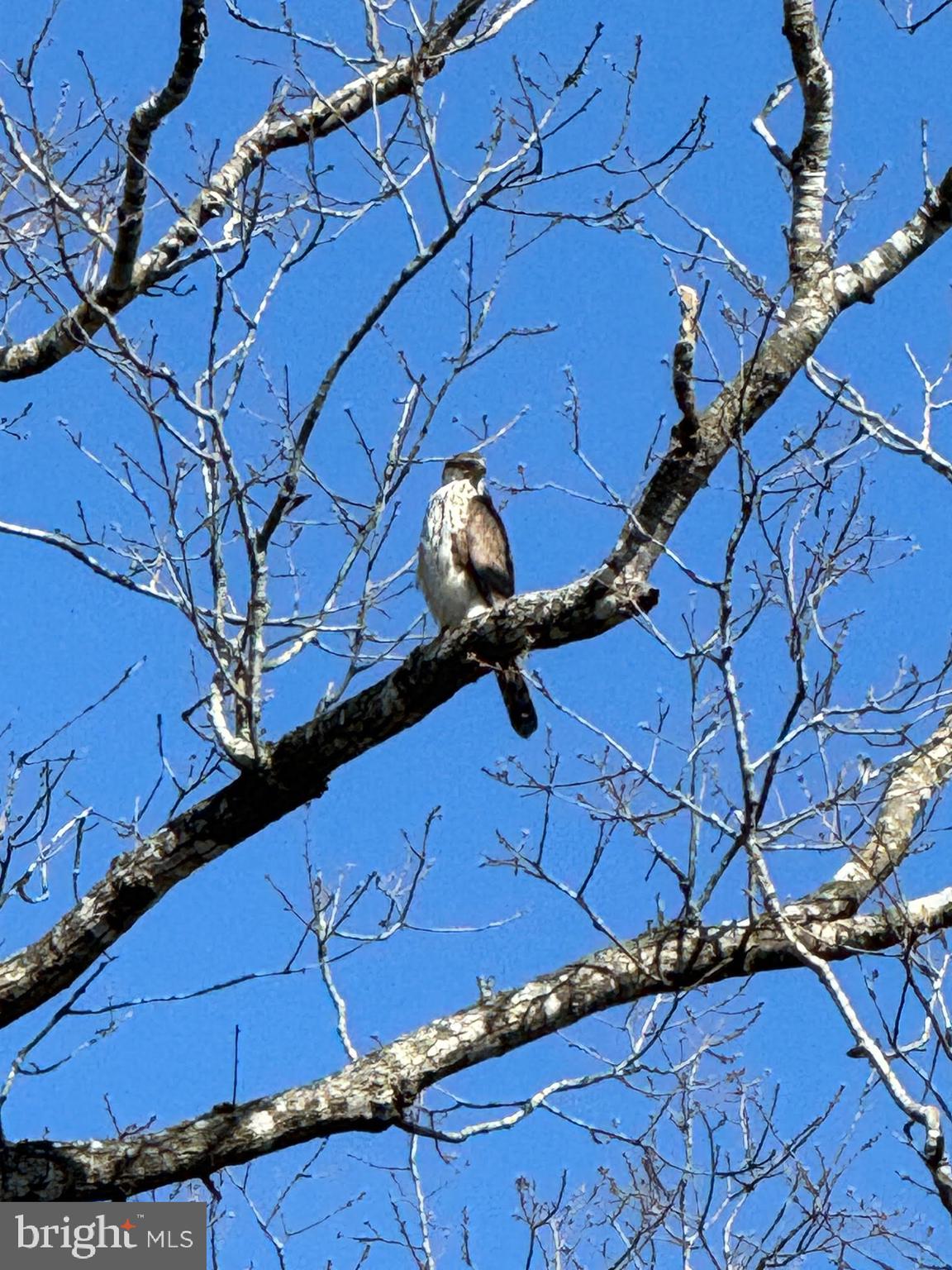 SENATE HEIGHTS - Residential