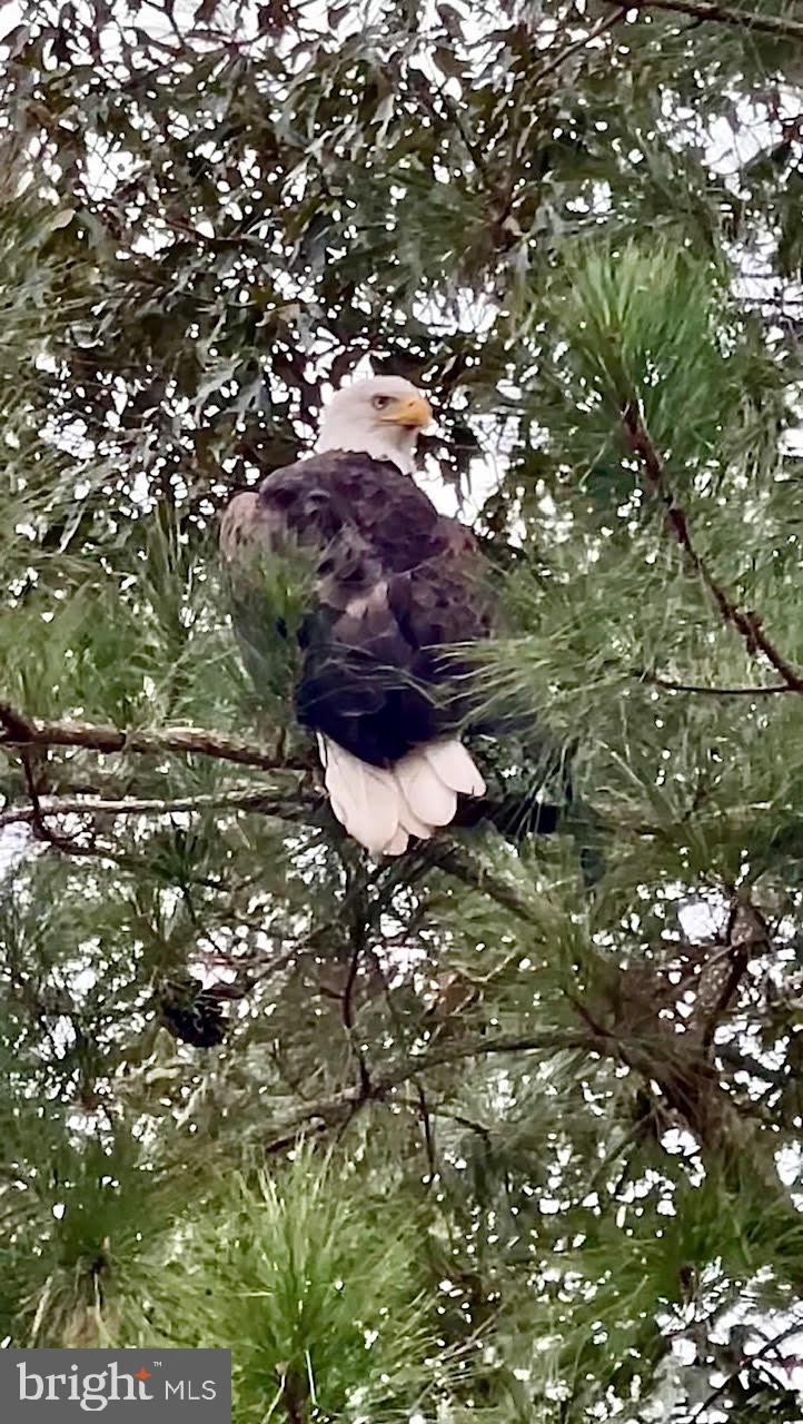 SENATE HEIGHTS - Residential