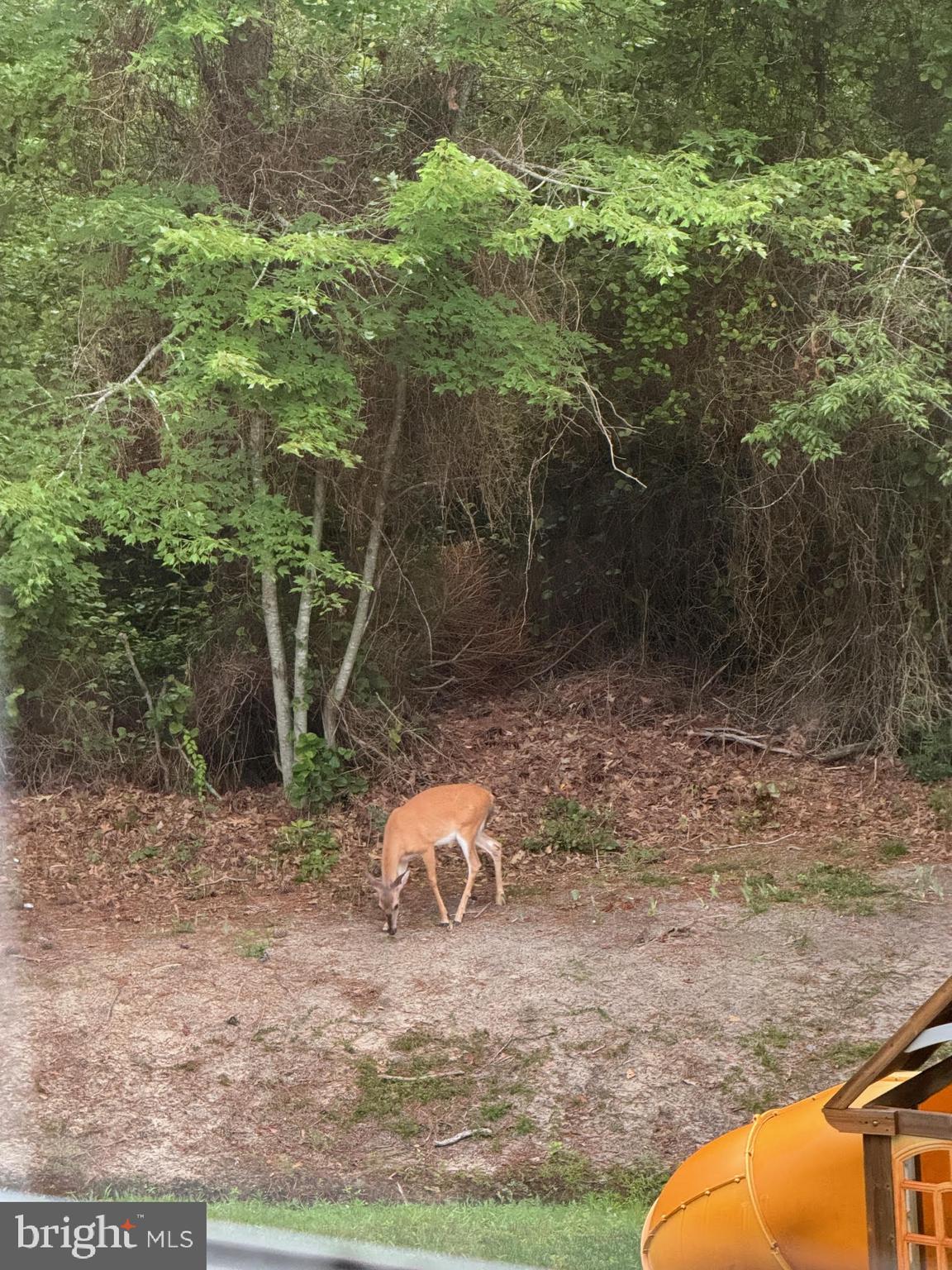 SENATE HEIGHTS - Residential