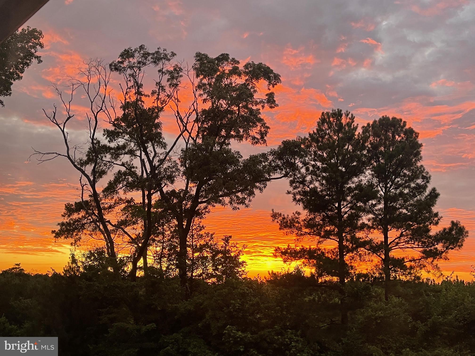 SENATE HEIGHTS - Residential