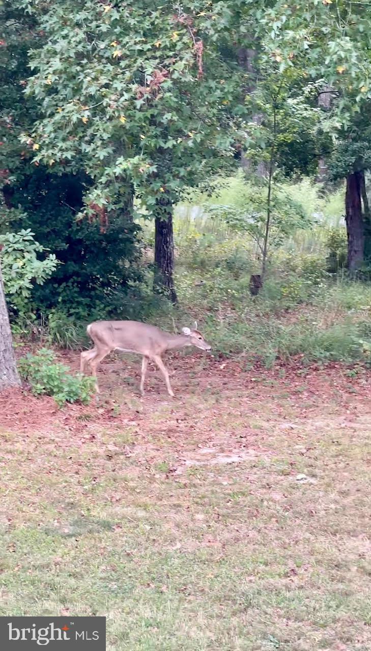 SENATE HEIGHTS - Residential