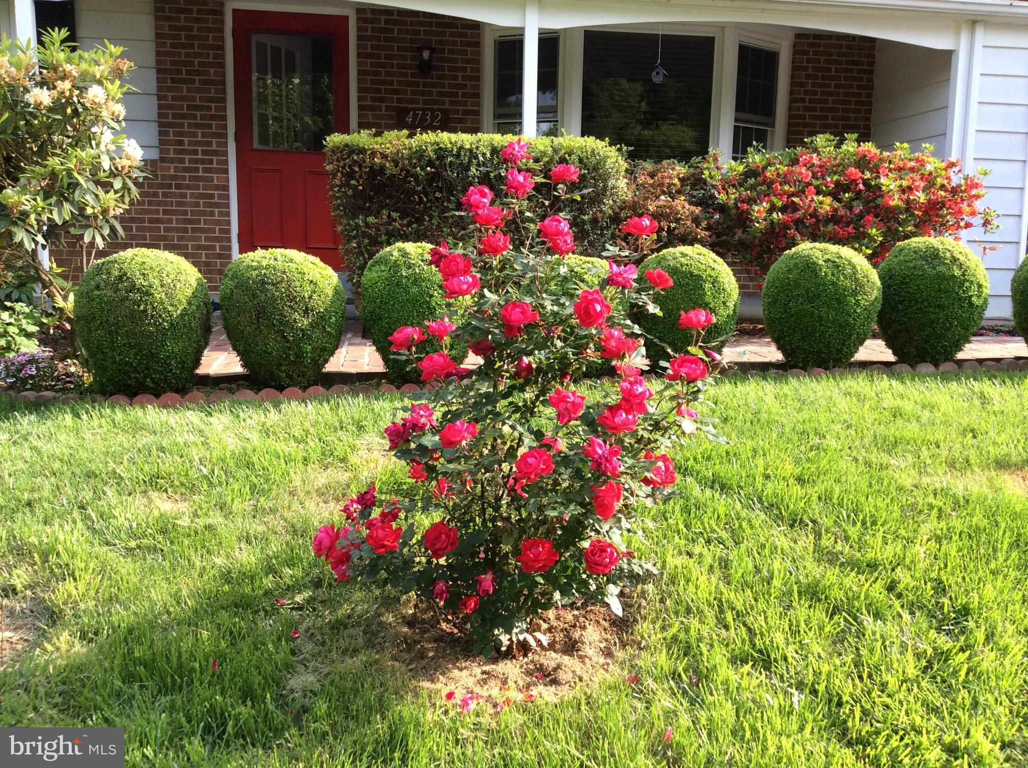 BRIARWOOD - Residential