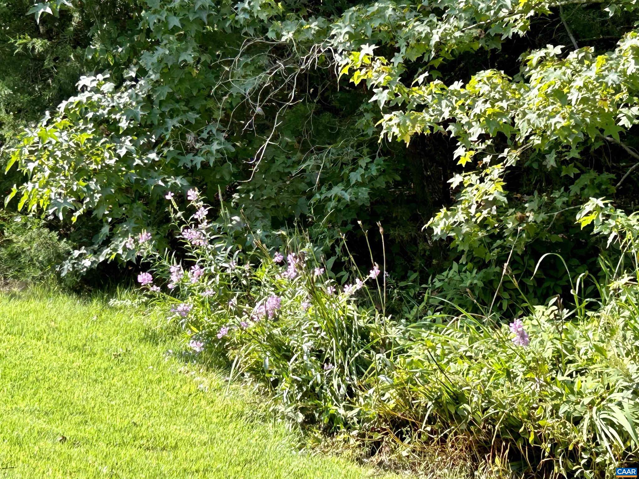 NONE AVAILABLE - Land