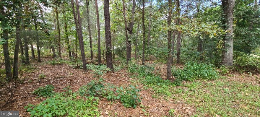 Nearly 1 ½ acres on Mackall Rd. Located just North of Parran Rd on the corner of Mackall and F Rawlings Rd. Private, wooded and level with approved perc test 2020 and new survey 2021. Forest Retention Area across F Rawlings Rd from property helps to keep that private, wooded feel while being only minutes from Route 4 in either direction for easy commute north or south.