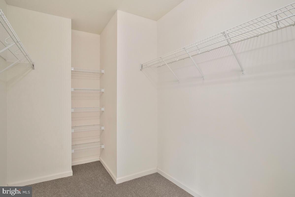 ORCHID PARK OF WILDEWOOD - Residential