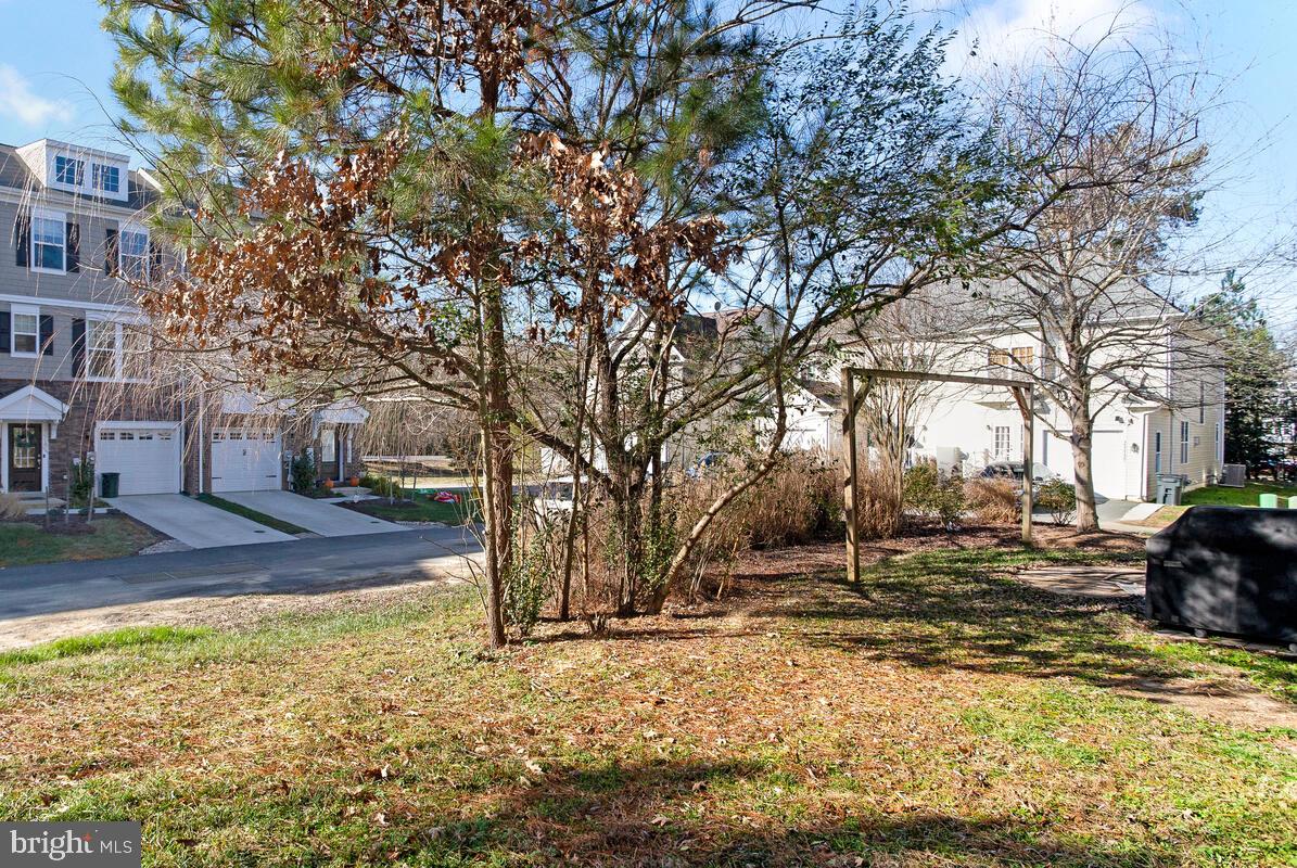 ORCHID PARK OF WILDEWOOD - Residential