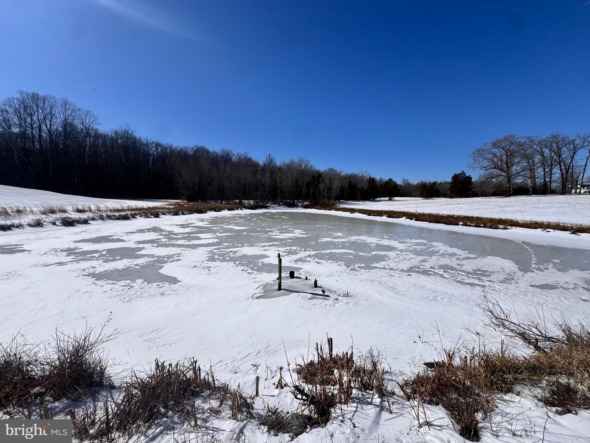 EQUESTRIAN SHORES - Land
