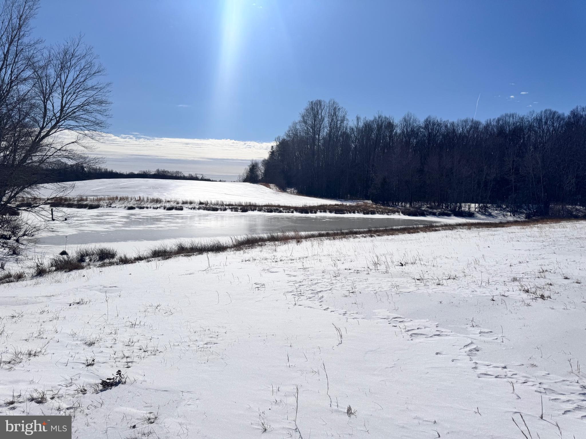 EQUESTRIAN SHORES - Land