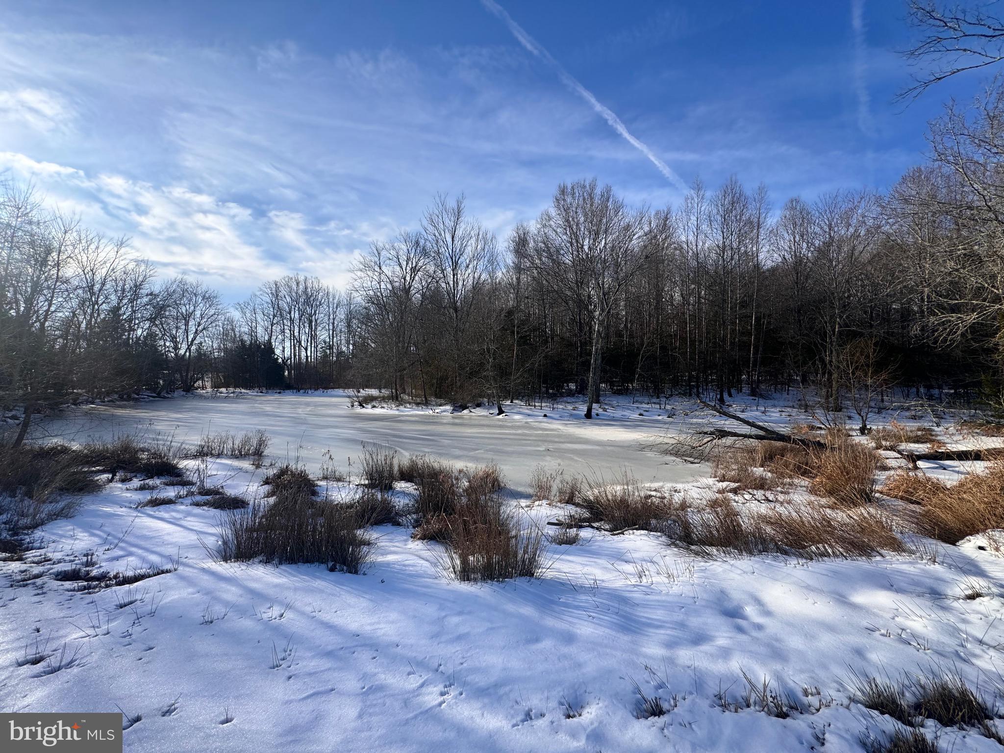 EQUESTRIAN SHORES - Land