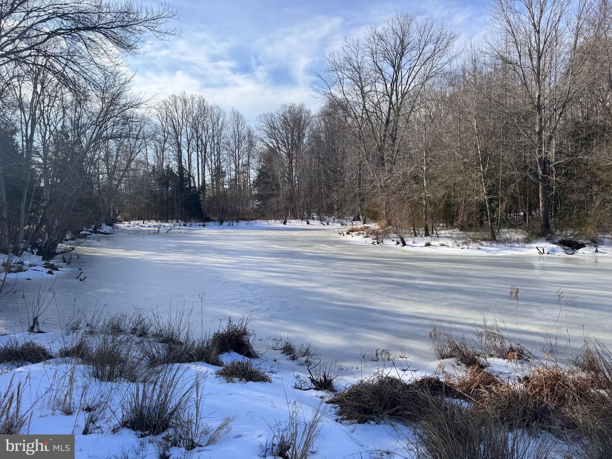 EQUESTRIAN SHORES - Land