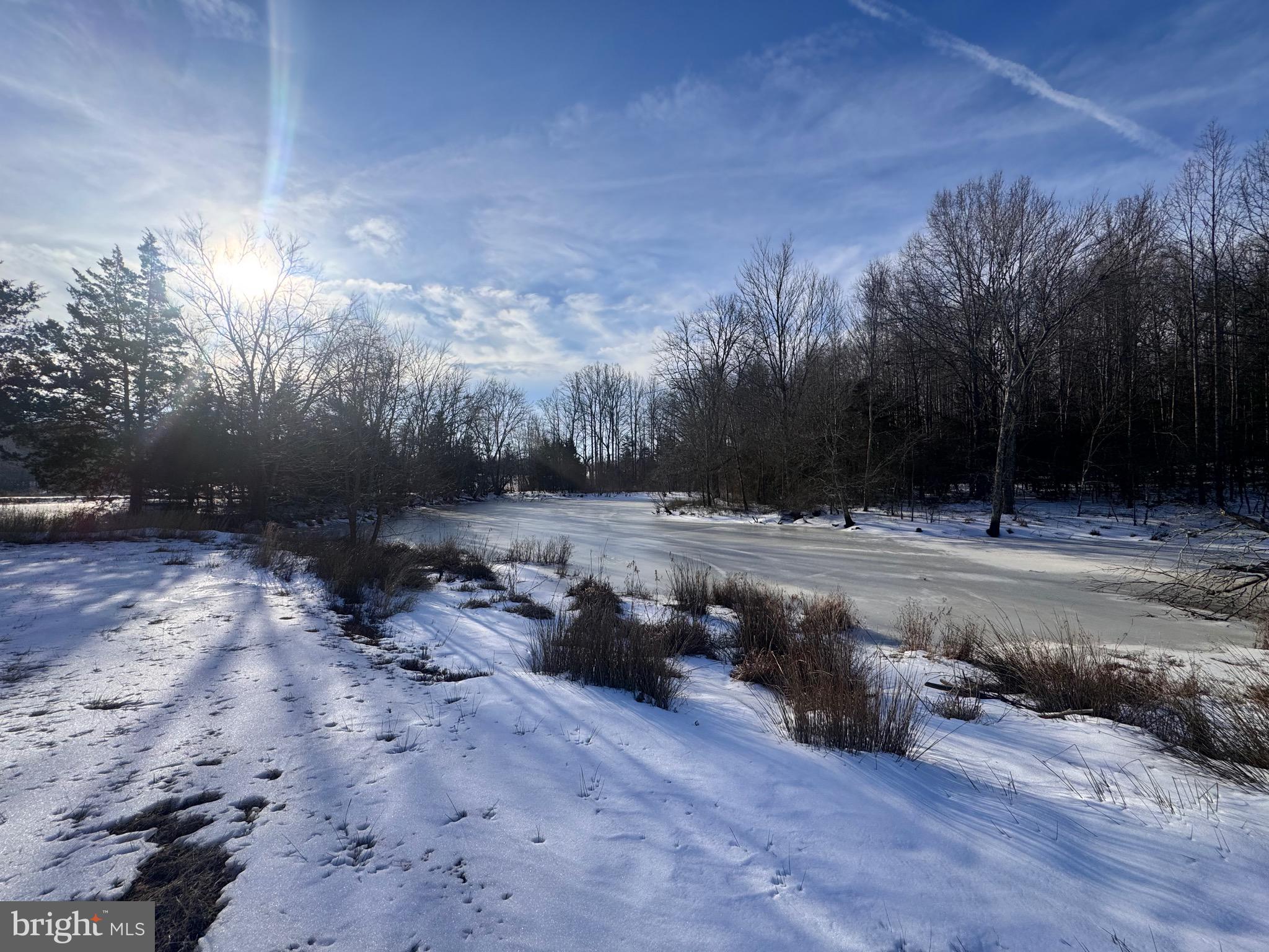 EQUESTRIAN SHORES - Land