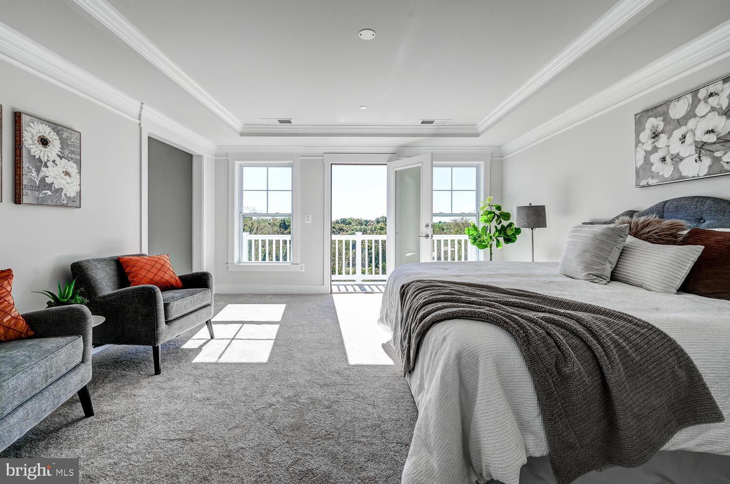 SHAMROCK ESTATES - Residential