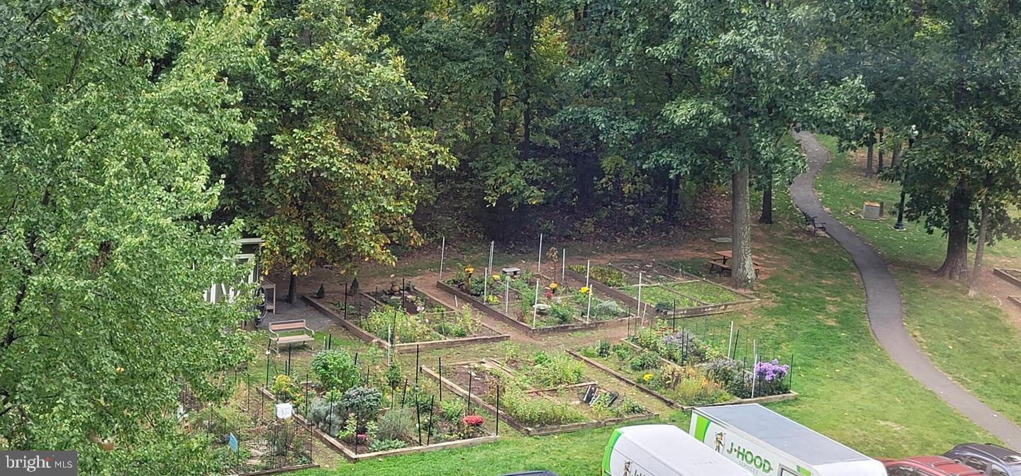 LANSDOWNE WOODS - Residential