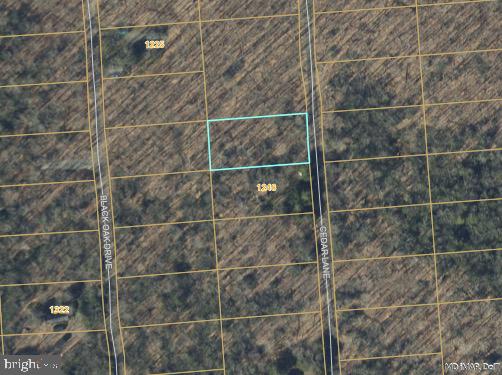 PINEY MOUNTAIN CORP - Land