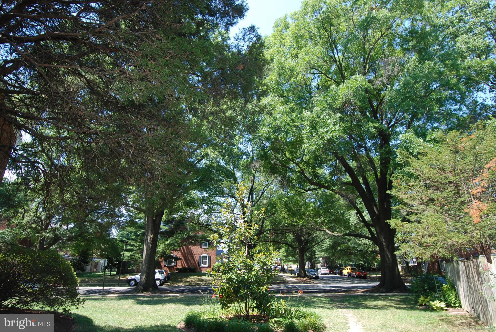 FAIRLINGTON GLEN - Residential